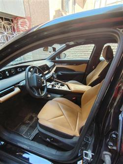 شانجان يوني في